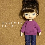 モンストサイズトレーナー