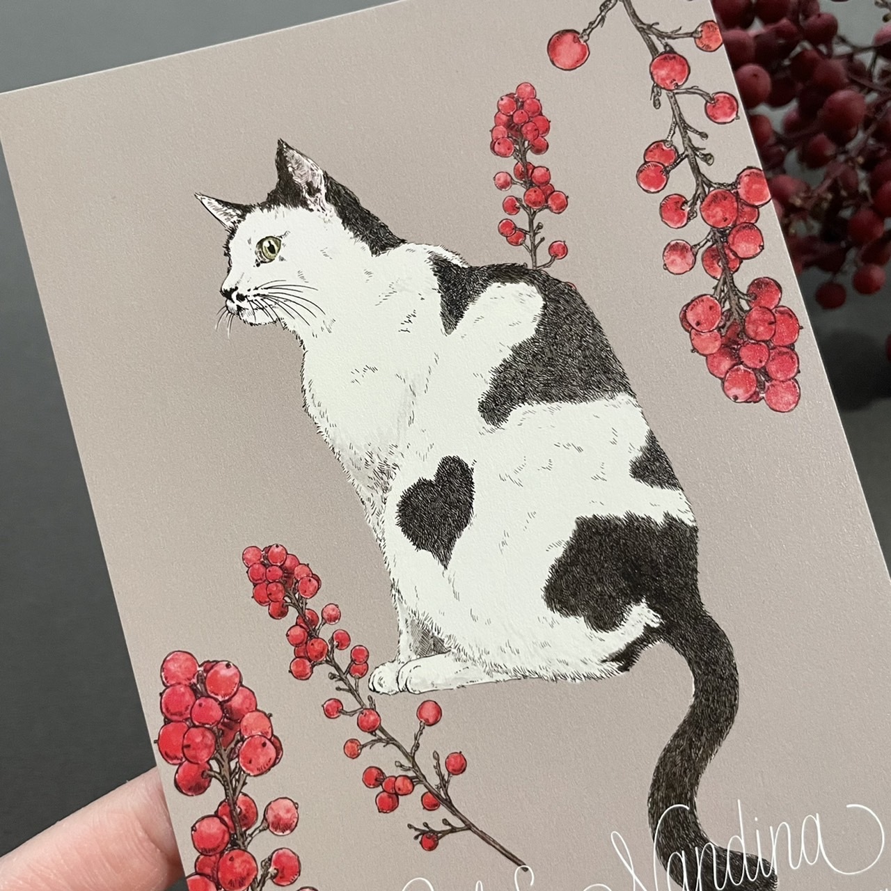 猫と南天 ポストカード3枚セット - nemunoki paper item | minne 国内