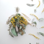 ミモザとユーカリのスワッグ 𖦞