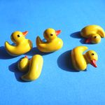 あひる　ピアス