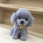 ハンドメイド　手のひらサイズのシルバープードルグレーワンコ犬あみぐるみ