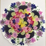 ❾お買得品❣️フラワーガーデン／押し花素材