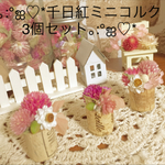 千日紅ミニコルク3個セット♡
