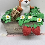 天使のコーギー🍀　苺畑🍓で苺狩り