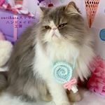 ✨🍭ペロペロキャンディーポシェット🍭✨　ミントブルー✨
