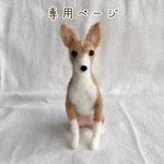 rmdk21様　愛犬うちの子マスコット　オーダー　羊毛フェルト