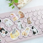 フレークシール　海外フレークシール　猫「 cats」ネコ　ねこ　 海外シール  23枚