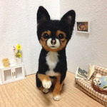 オーダー品✩チワワちゃん✩羊毛フェルト