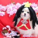 ひな祭り🎎🌸お雛様なりきり変身セット💖スタイ、ウィッグ、髪飾り付き