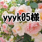 yyyk05様、胃ろうパッドD、F