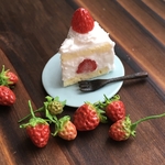 【X】イチゴのショートケーキ
