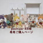 pochipe-88様専用ご購入ページ