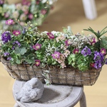 ❀.*･ﾟ春のあぜ道風❁⃘ブリコラージュフラワー❁❀✿✾