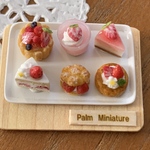 【再販】＊palm miniature＊6種の苺のプチガトー🍓