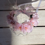 花かんむり🌸桜🌸