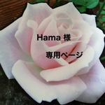 Hama 様専用ページ