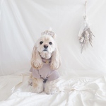 【リブハイネックTシャツ】ブラウンorグレージュ 犬服 シンプル
