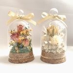 【SALE】ボトルフラワー2本セット　ドライフラワー　ガラスドーム