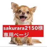 専用ページ