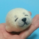 ころころアザラシさん