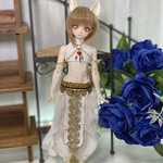 (白）ノアSアラビアン