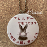送料無料　アレルギー　キーホルダー　うさぎ　57mm