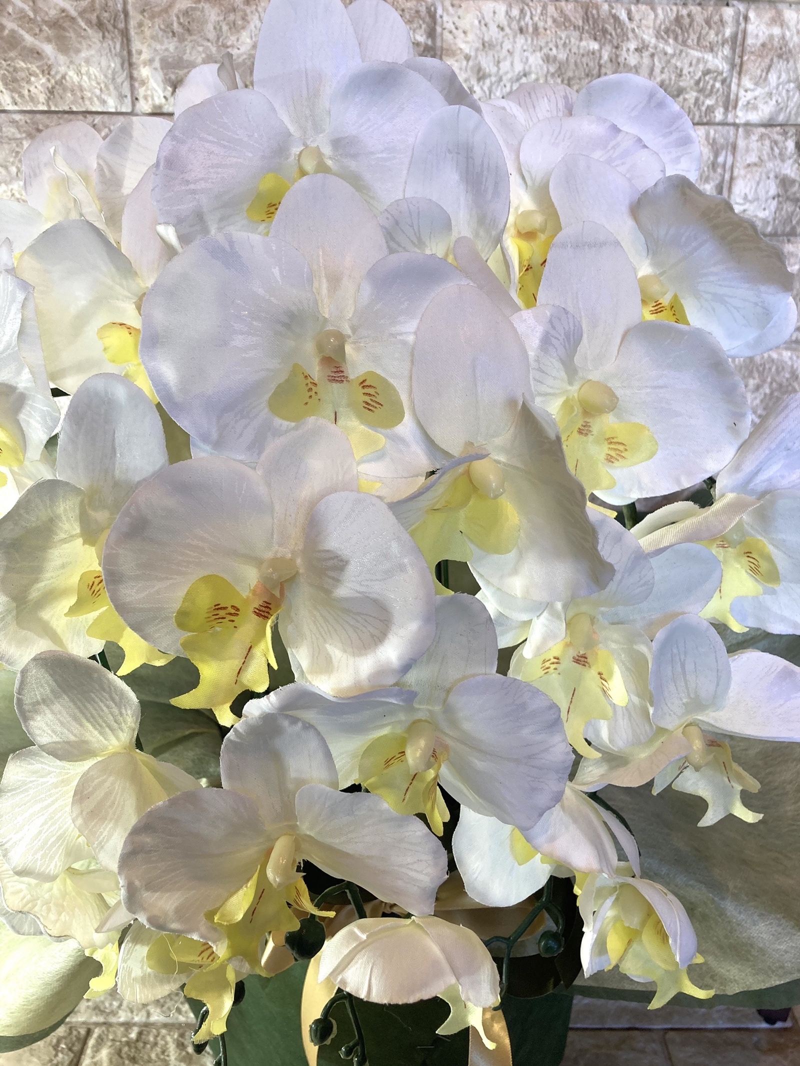 光触媒　人工観葉植物　ウォールグリーン　フェイク　フラワー　胡蝶蘭6340
