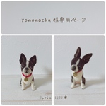 ＊オーダー品＊手乗りうちの子　まちゅちゃん・よもぎちゃん