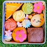 春のクッキー缶※3月25日頃の到着※