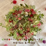 🌿木苺🍓ベリーな🍓ナチュかわ♡ドライフラワーミニリース🌿