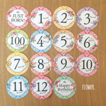 【再販】BABYマンスリーステッカー Flower. フォトプロップス