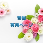 青様専用ページ