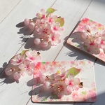 ソメイヨシノ桜のヘアクリップ 朝露付き