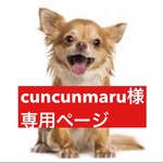 専用ページ