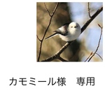 カモミール様専用ページです