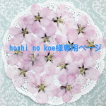 hoshi no koe様専用ページ