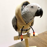 【ノーマルタイプ】インコパーカーオーダー