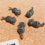 じゃれ猫シリーズ　黒虎　oly house