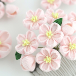 - 桜 -　八分咲き　4点セット