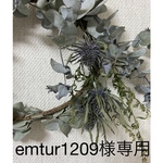 emtur1209様専用　ビーズタッセルイヤリング