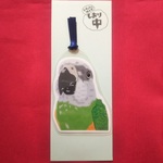 しおり【中】／ネズミガシラハネナガインコ①～③