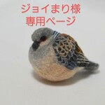 ジョイまり様専用ページ