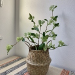 ミニ月桂樹　バスケット　籠　フェイクグリーン　2本　人工観葉植物