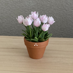 チューリップ　花鉢　7