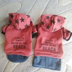 犬服！Msize！スター&スターデニム重ね着