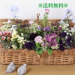 ❁⃘送料無料❁⃘.*･ﾟ･*🌼イングリッシュガーデン風*..*･      ロングバスケットブリコラージュ寄せ植え.*･ﾟ🌸