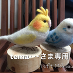 tema･･･さま専用