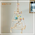 専用ページ　空中ピラミッド