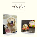 アクリルスタンド 写真入り 名入れ スクエア 2種 113×85mm / 85×85mm ペット 犬 猫 ハムスター うさぎ うちの子 子ども 孫 メモリアル グッズ デザイン料・送料無料