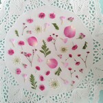 押し花素材469　ピンク系小花のセット